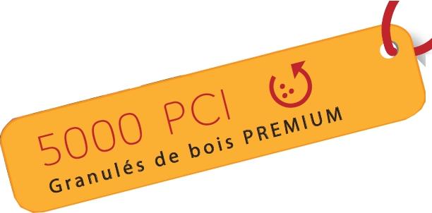 logo 5000 PCI
