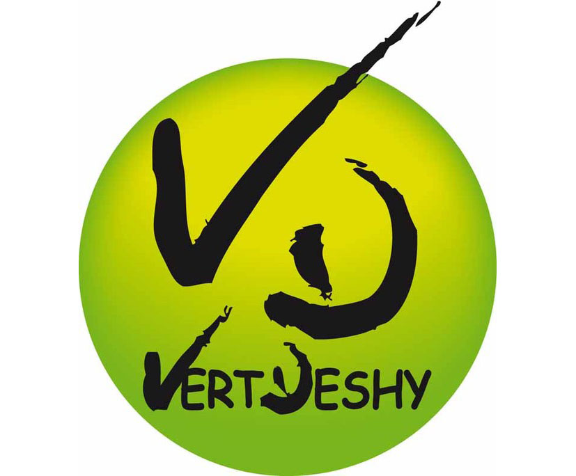 logo Deshy